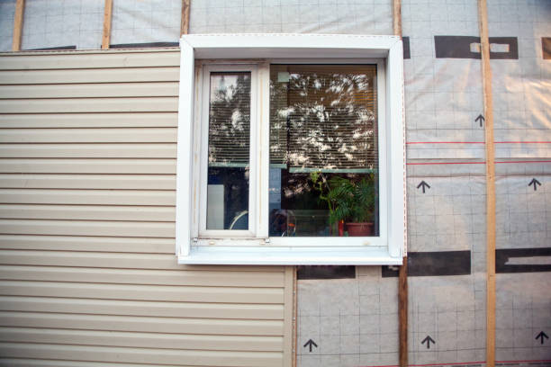 Best Insulated Siding Installation  in St Henry, OH