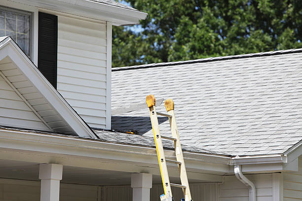 Best Siding Painting and Refinishing  in St Henry, OH
